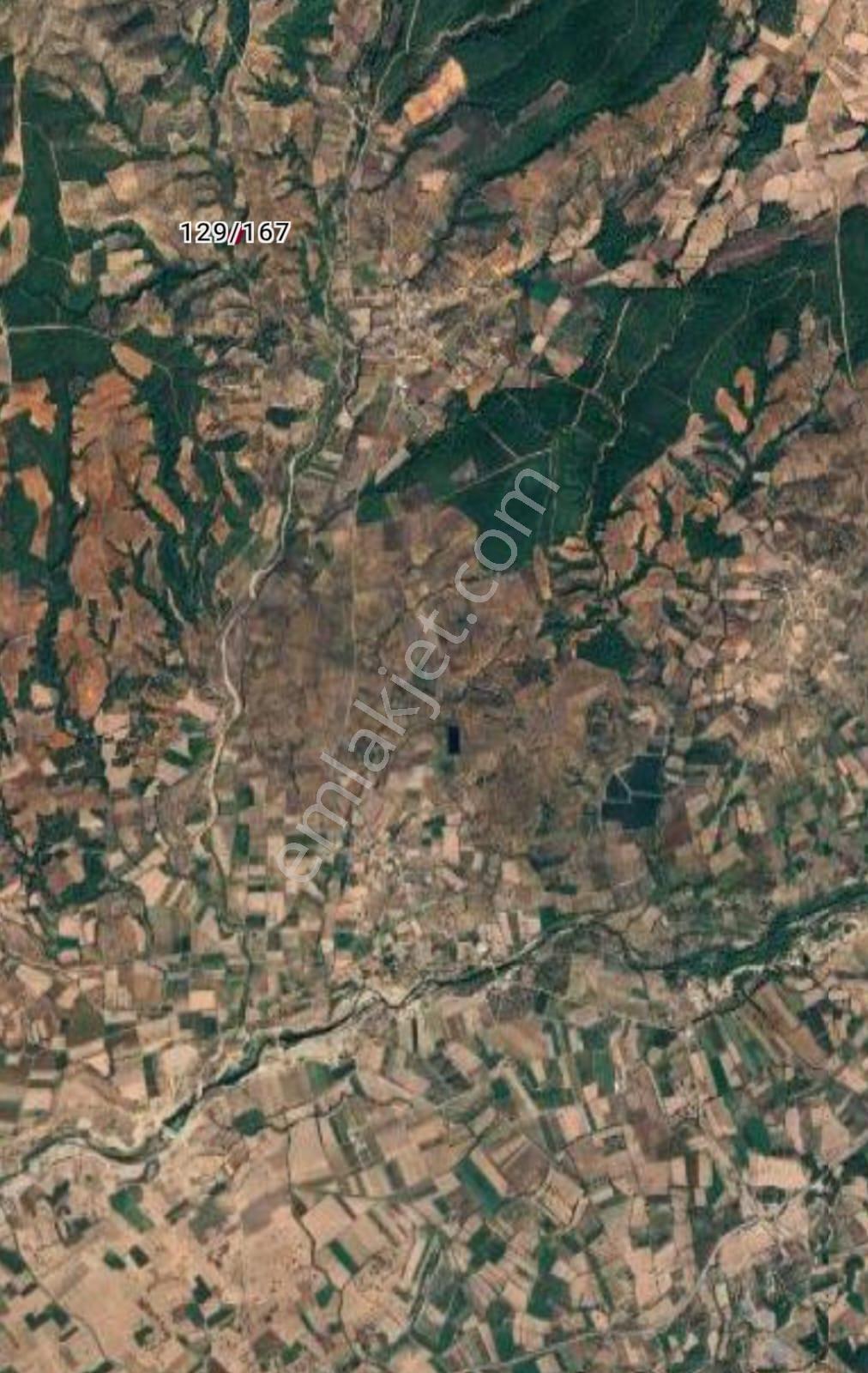 & Kerim'den Satılık Bayramiç'de Yatırımlık Zeytinlik - Görsel 8