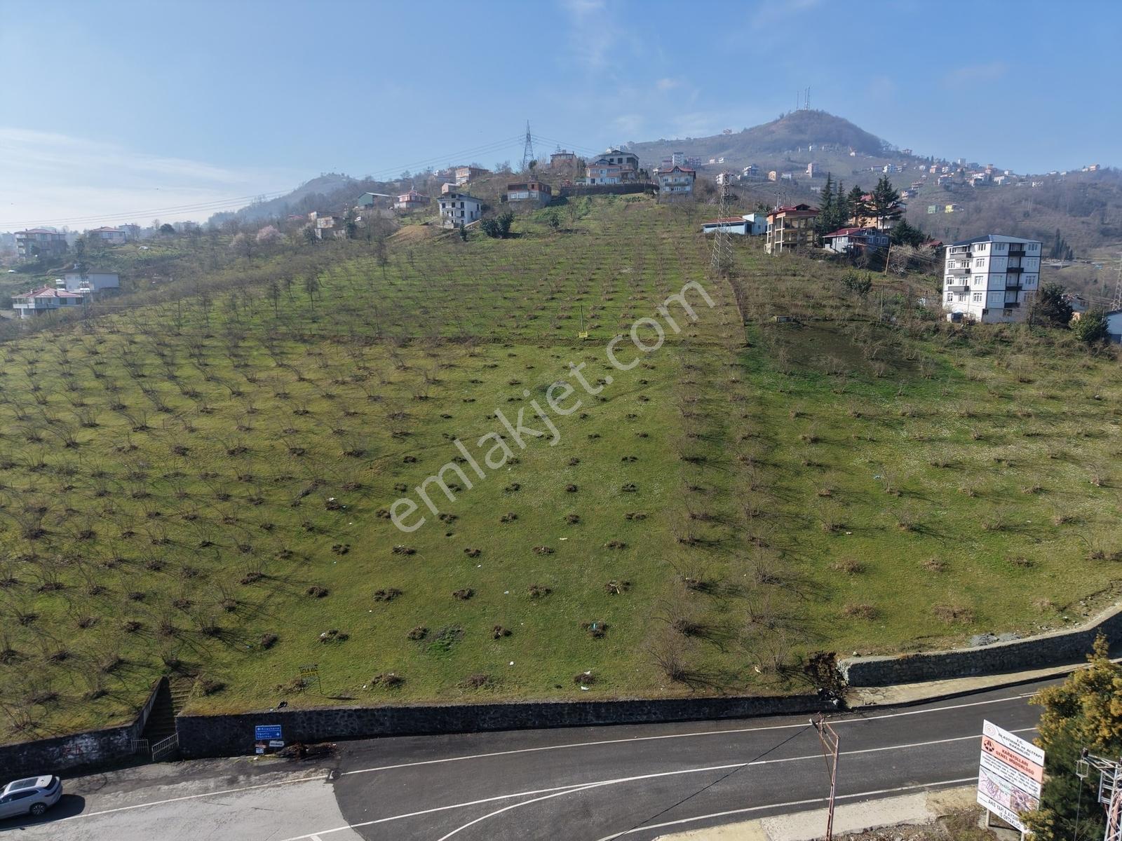 Redstone Şana Dan Aktoprak Yatırımlık Parsel - Görsel 4