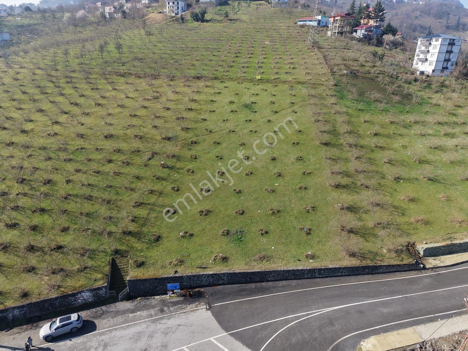 Redstone Şana Dan Aktoprak Yatırımlık Parsel - Görsel 2