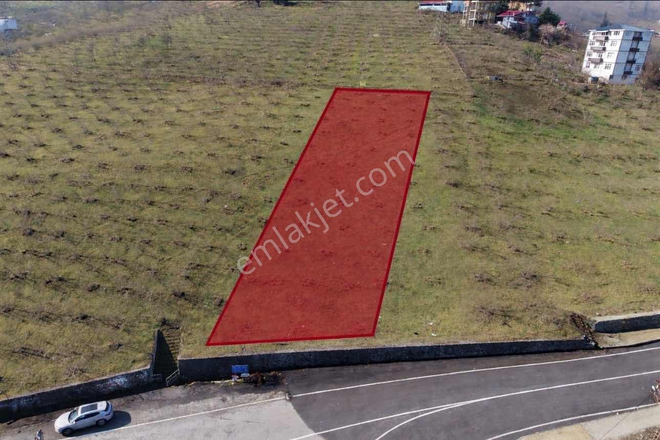 Redstone Şana Dan Aktoprak Yatırımlık Parsel