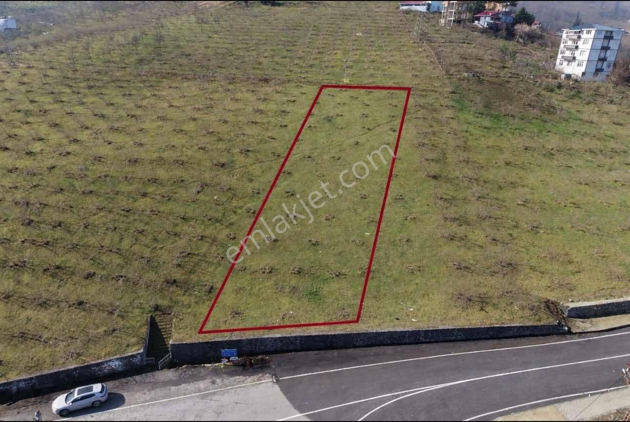 Redstone Şana Dan Aktoprak Yatırımlık Parsel - Görsel 16