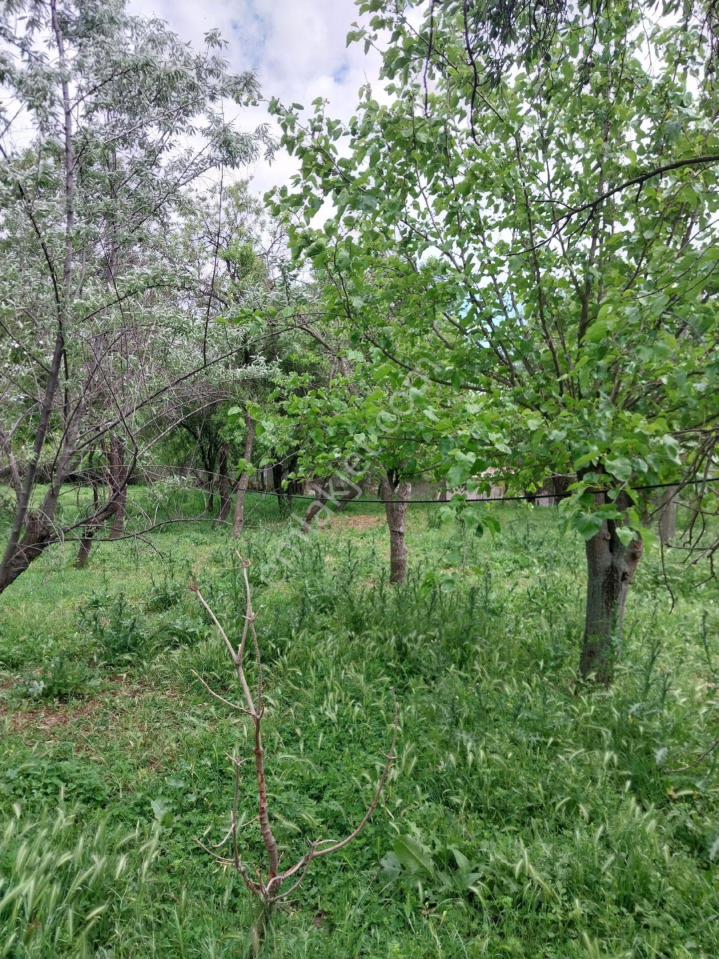 Tekirdağ Süleymanpaşa Gayrimenkulden Satılık Müstakil Köy Evi Karacakilavuz Mah 1900m2 Arsası - Görsel 33