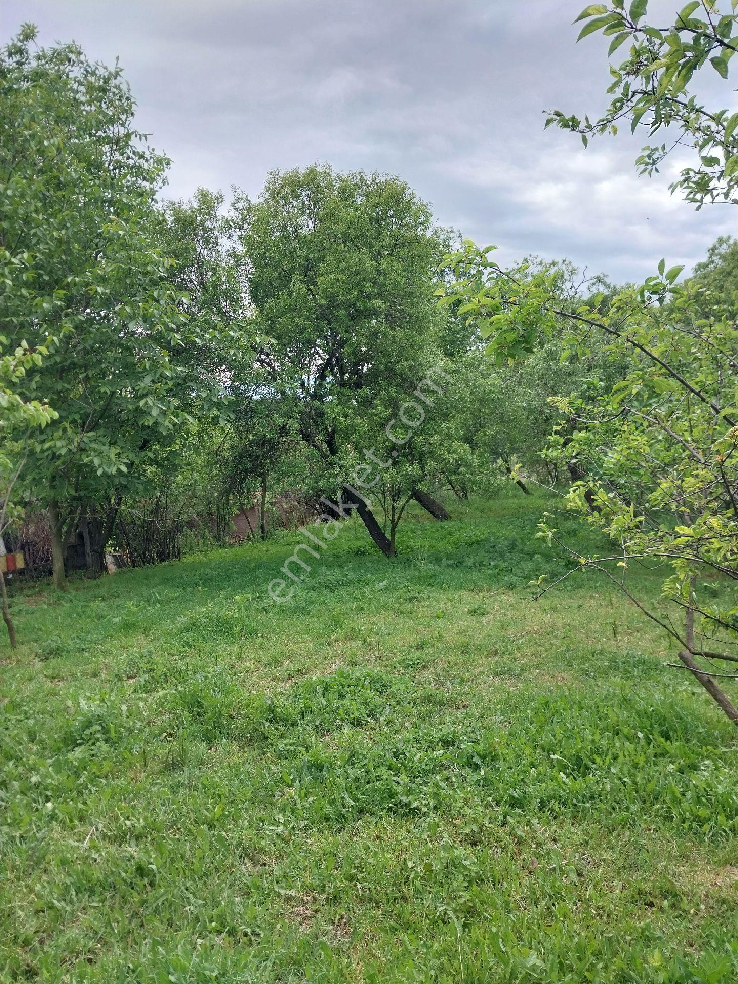 Tekirdağ Süleymanpaşa Gayrimenkulden Satılık Müstakil Köy Evi Karacakilavuz Mah 1900m2 Arsası - Görsel 31