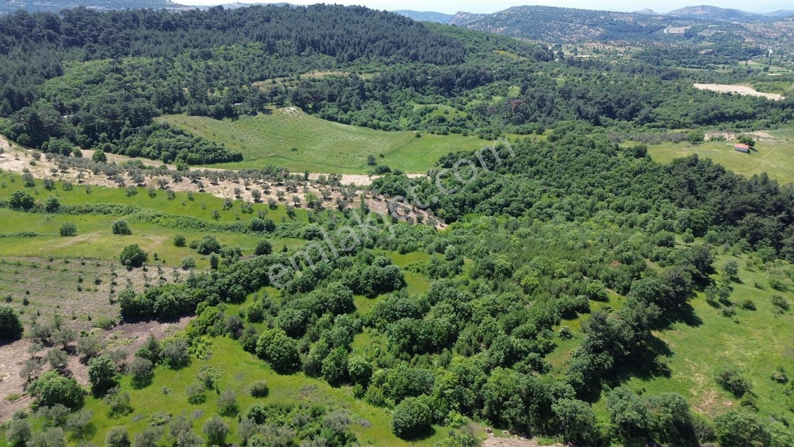 Bergama Dereköyde Satılık 15.111m2 Verimli Tarla !!! - Görsel 7