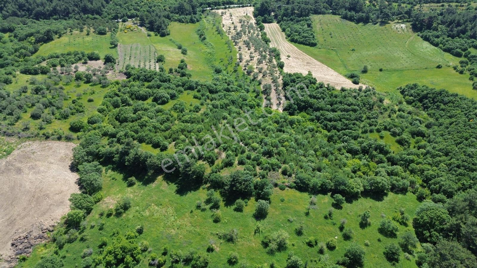 Bergama Dereköyde Satılık 15.111m2 Verimli Tarla !!! - Görsel 9