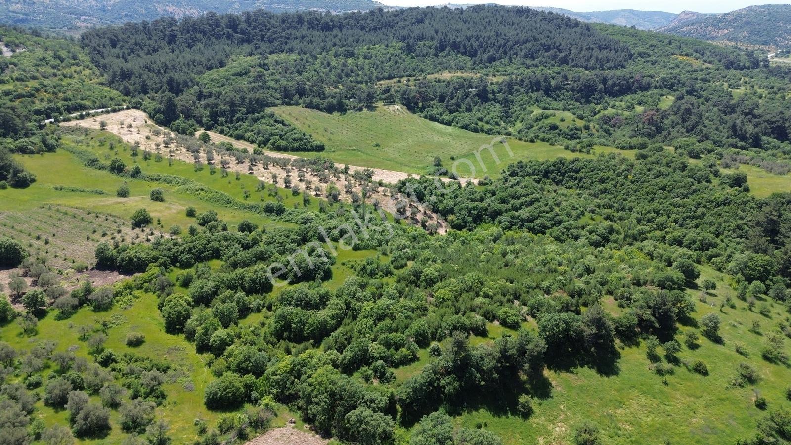 Bergama Dereköyde Satılık 15.111m2 Verimli Tarla !!! - Görsel 4