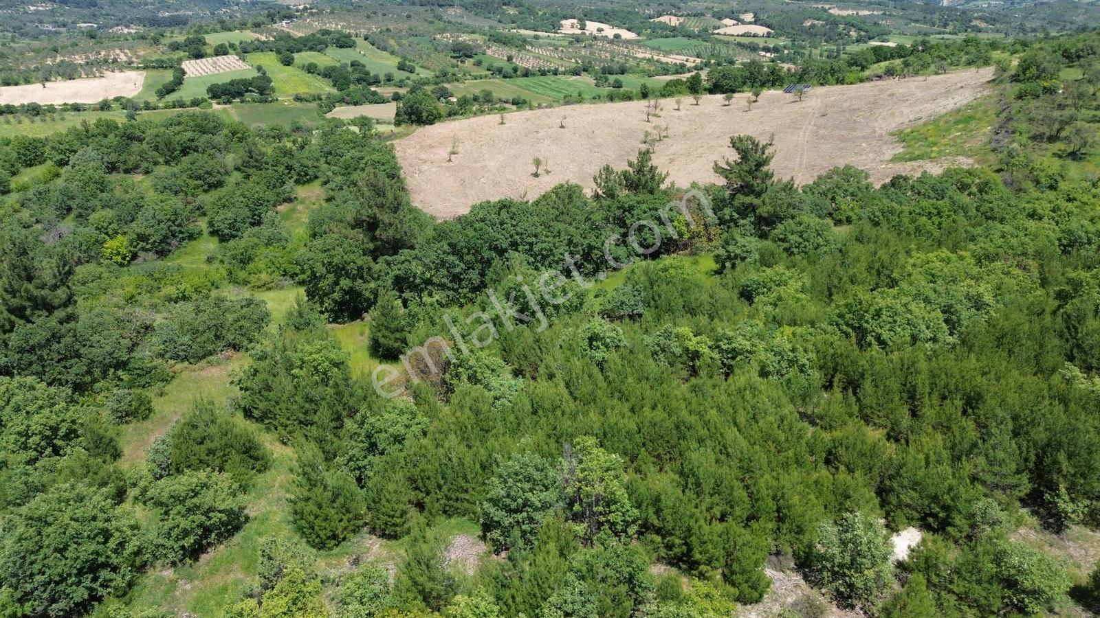 Bergama Dereköyde Satılık 15.111m2 Verimli Tarla !!! - Görsel 23