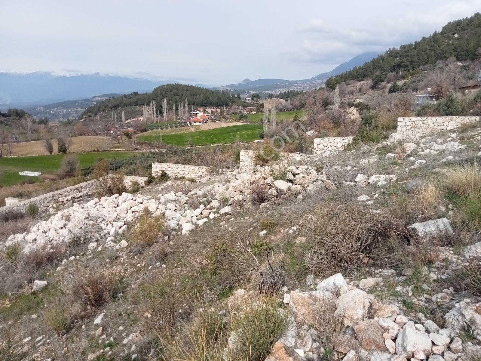 Falcon Dan Yaka Da Fırsat 828m²arsa