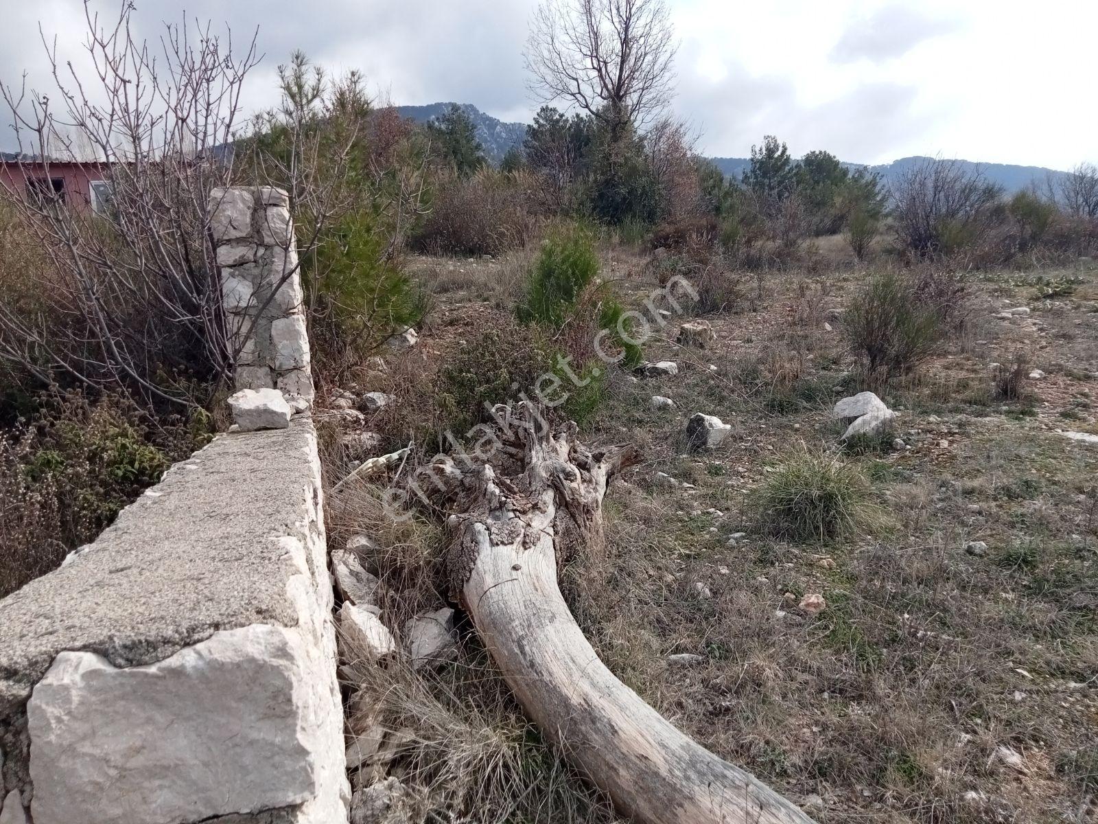 Falcon Dan Yaka Da Fırsat 828m²arsa - Görsel 12
