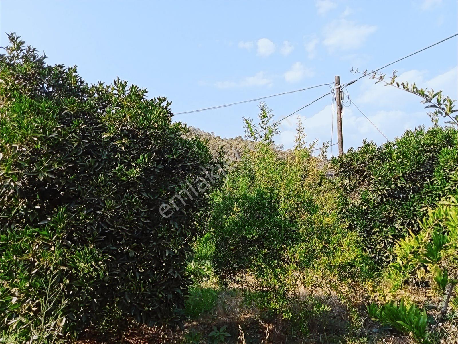 Falcon Dan Yanıklar Da Fırsat 1367m²arsa - Görsel 26