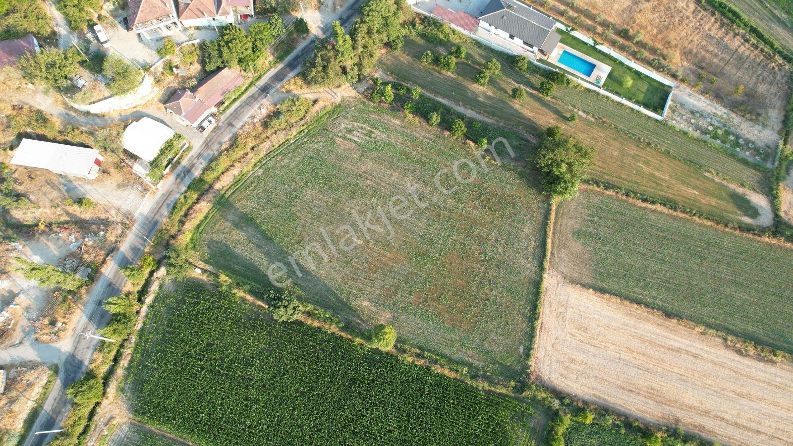 Falcon Dan Sahil Ceylan Da İmarlı 1500m² - Görsel 8