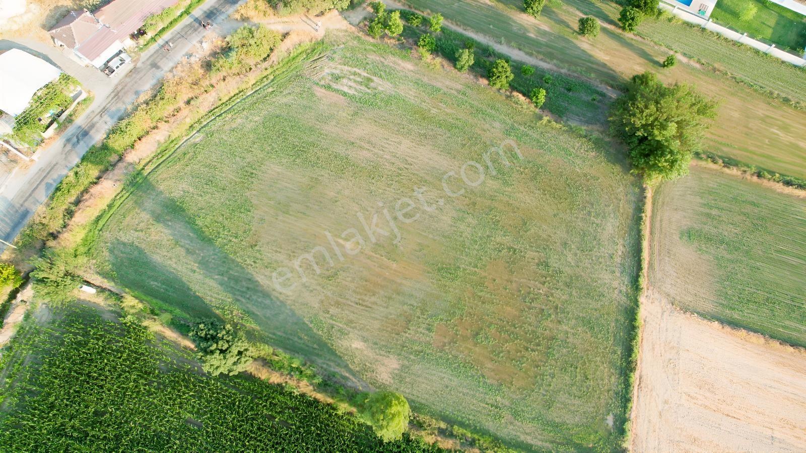 Falcon Dan Sahil Ceylan Da İmarlı 1500m² - Görsel 6