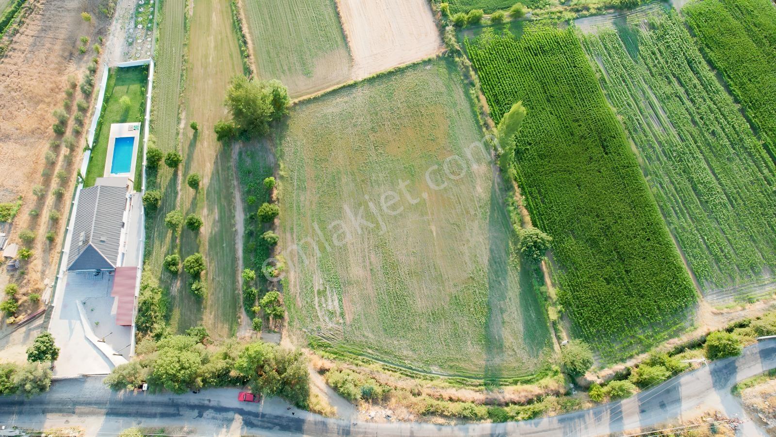 Falcon Dan Sahil Ceylan Da İmarlı 1500m² - Görsel 2