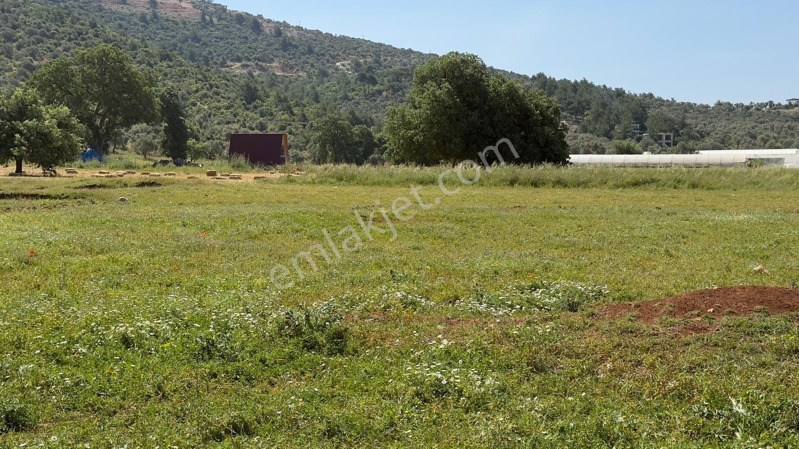 Falcon Dan Çavdır Da Fırsat 1300m² Arsa - Görsel 3