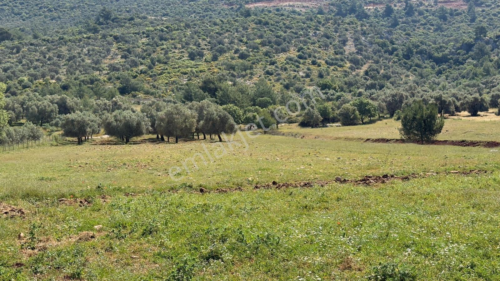 Falcon Dan Çavdır Da Fırsat 1300m² Arsa - Görsel 7
