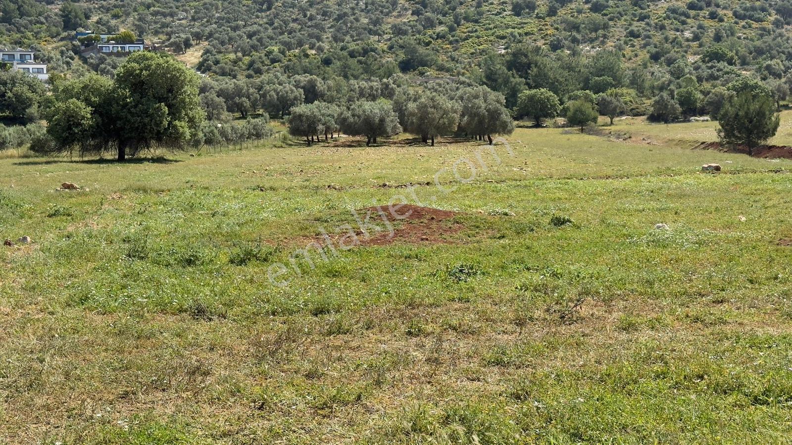 Falcon Dan Çavdır Da Fırsat 1300m² Arsa - Görsel 9