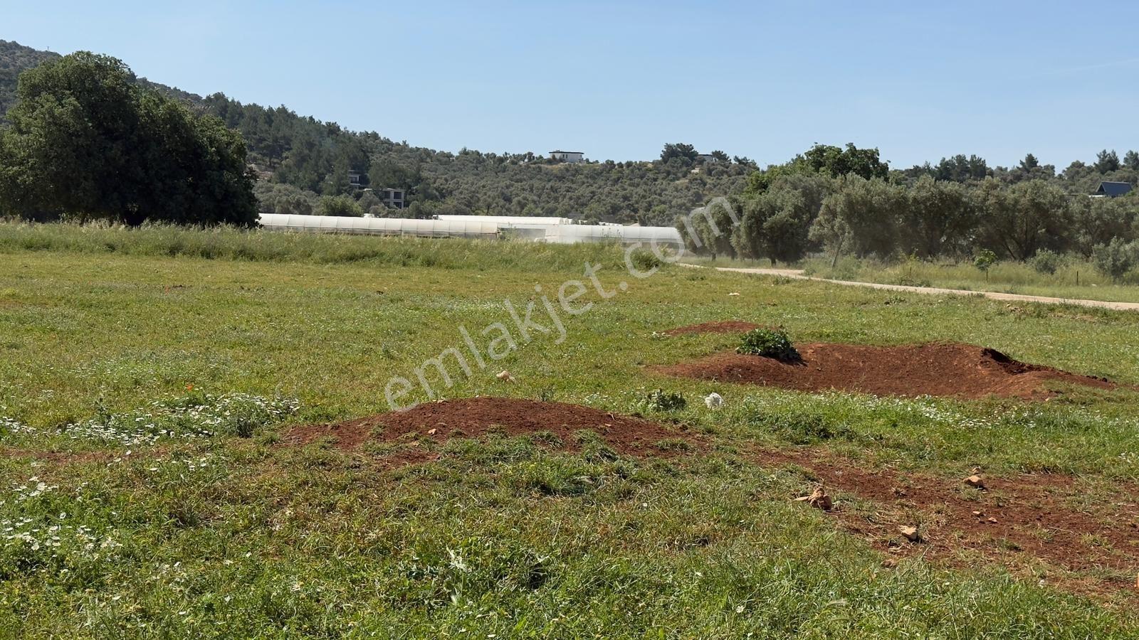 Falcon Dan Çavdır Da Fırsat 1300m² Arsa - Görsel 10