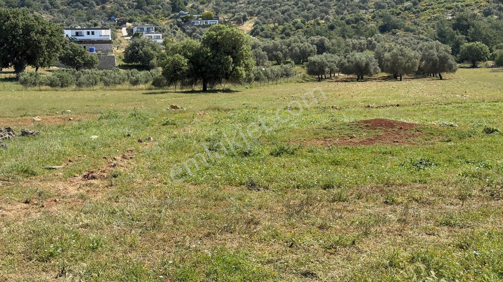 Falcon Dan Çavdır Da Fırsat 1300m² Arsa - Görsel 14