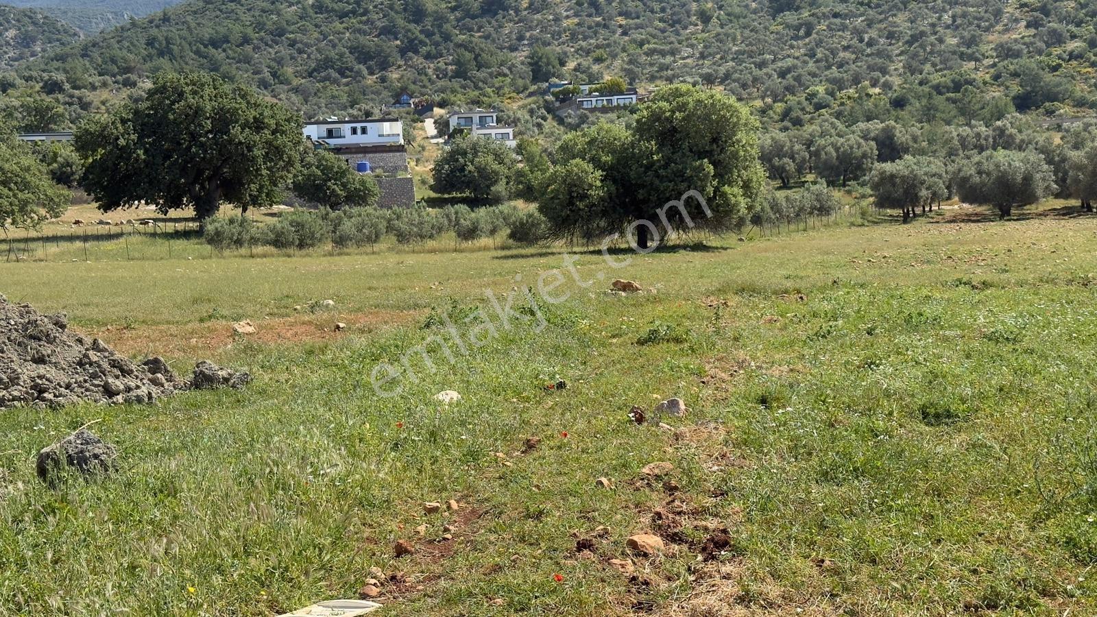 Falcon Dan Çavdır Da Fırsat 1300m² Arsa