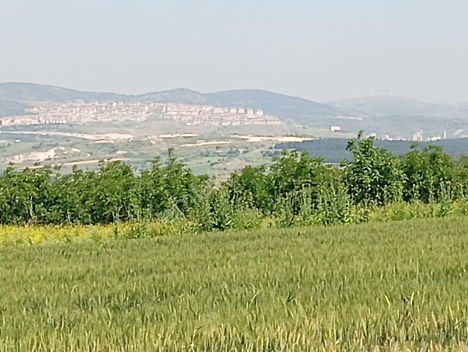 Balıkesir Altıeylül Küçükbostancı Mahallesi 3568m2 Satılık Tarla - Görsel 12