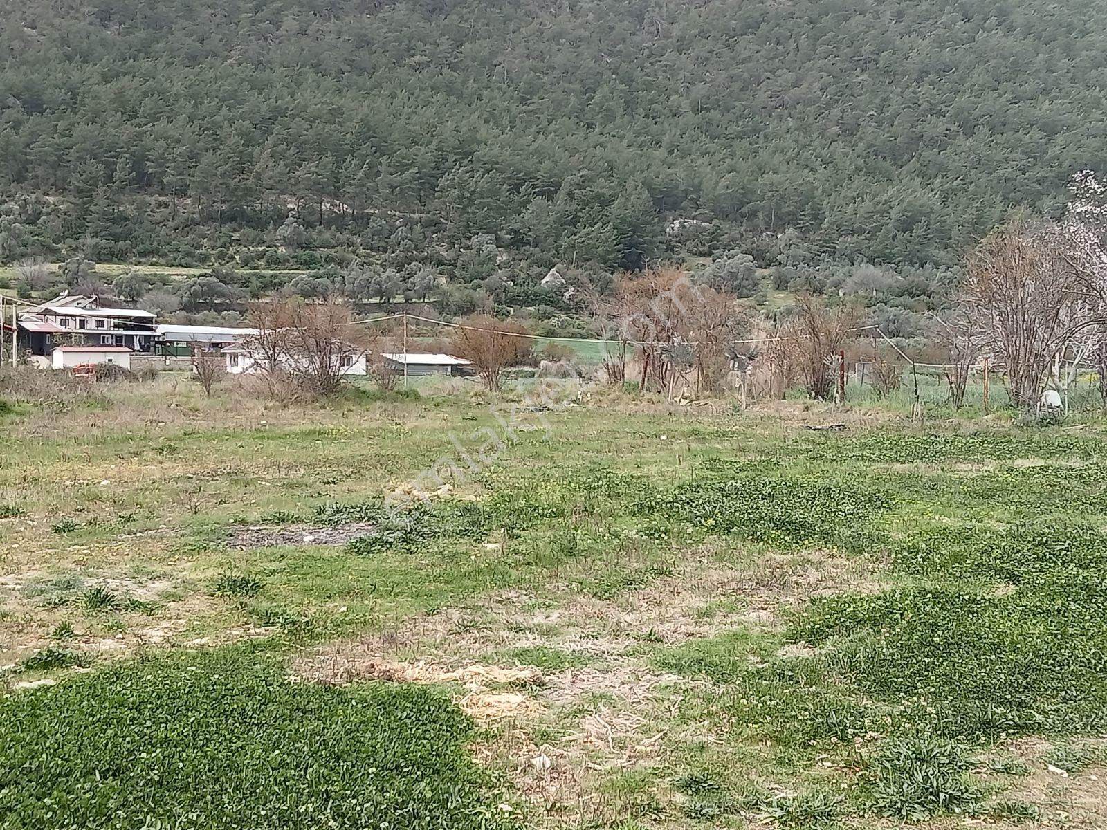 Falcon Dan Ortaköy De Fırsat 900m² - Görsel 8