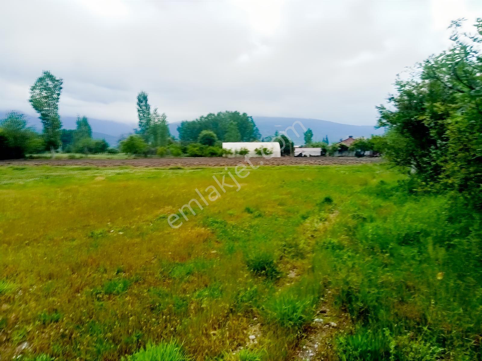 Falcon Dan Ortaköy De Fırsat 900m² - Görsel 6
