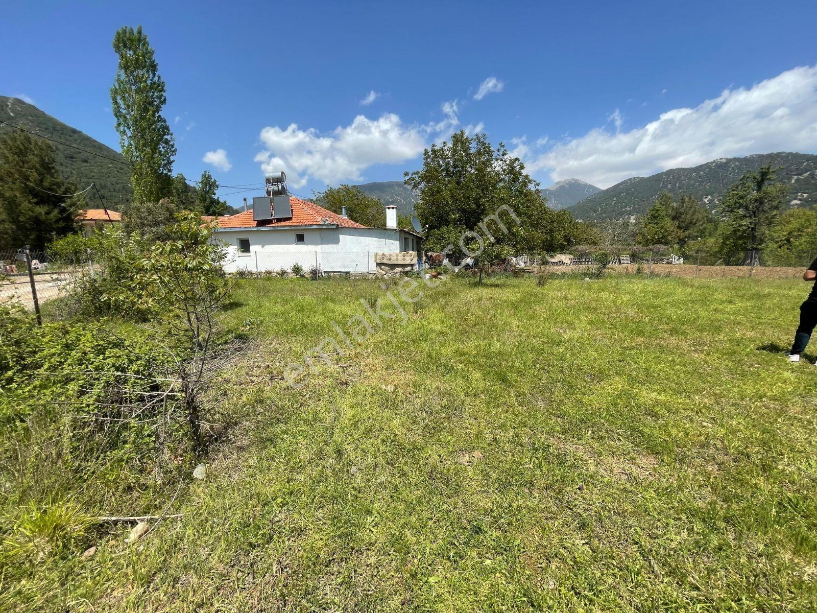 Falcon Dan Nif De Mükemmel 1525m² İmarlı Arsa - Görsel 4