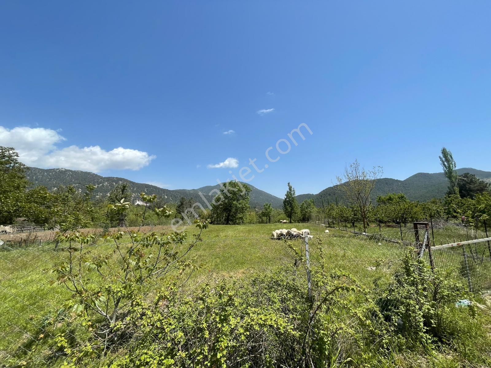 Falcon Dan Nif De Mükemmel 1525m² İmarlı Arsa - Görsel 6