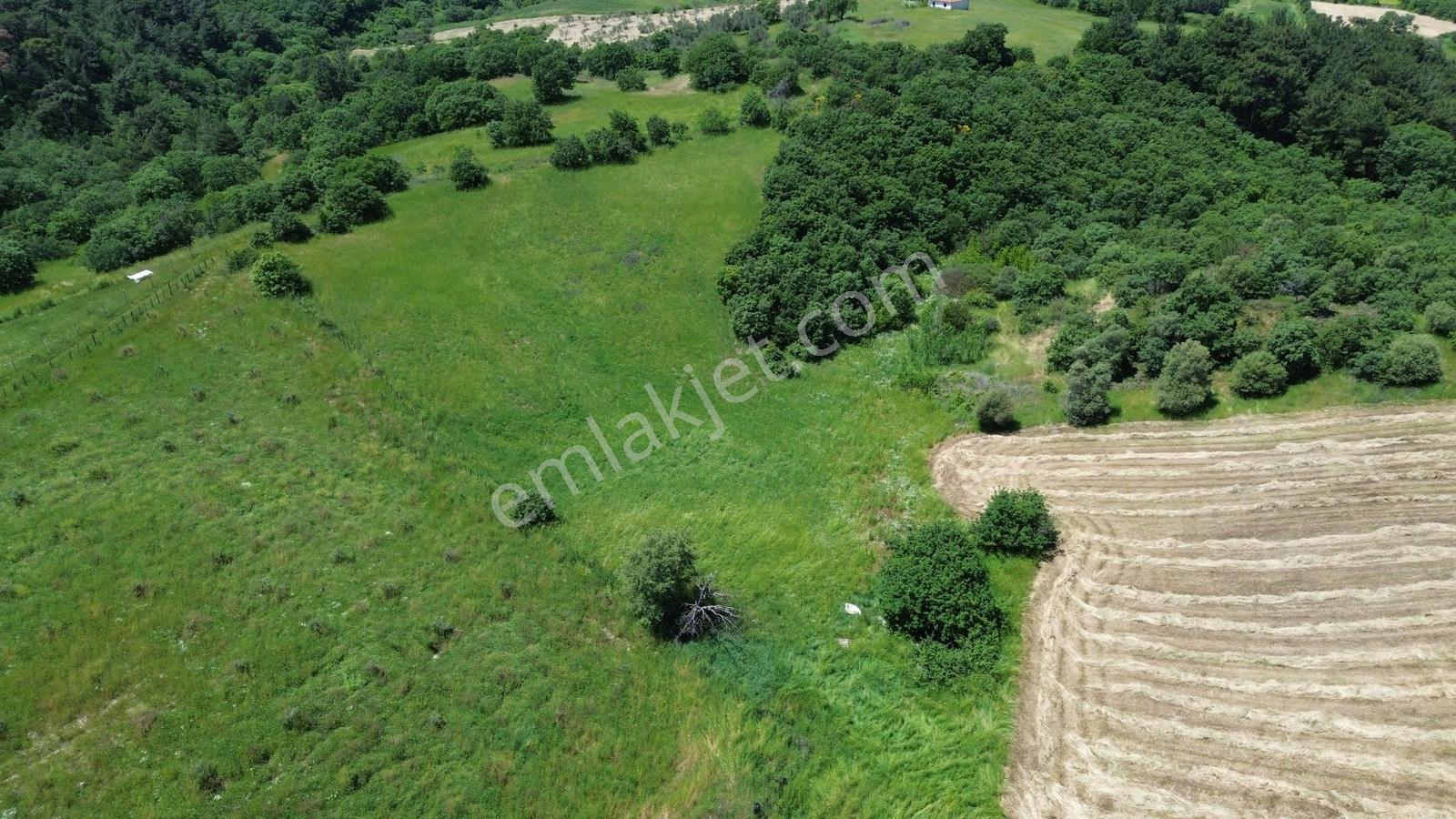 Bergama Dereköyde Uygun Fiyatlı Tarla !!! - Görsel 13