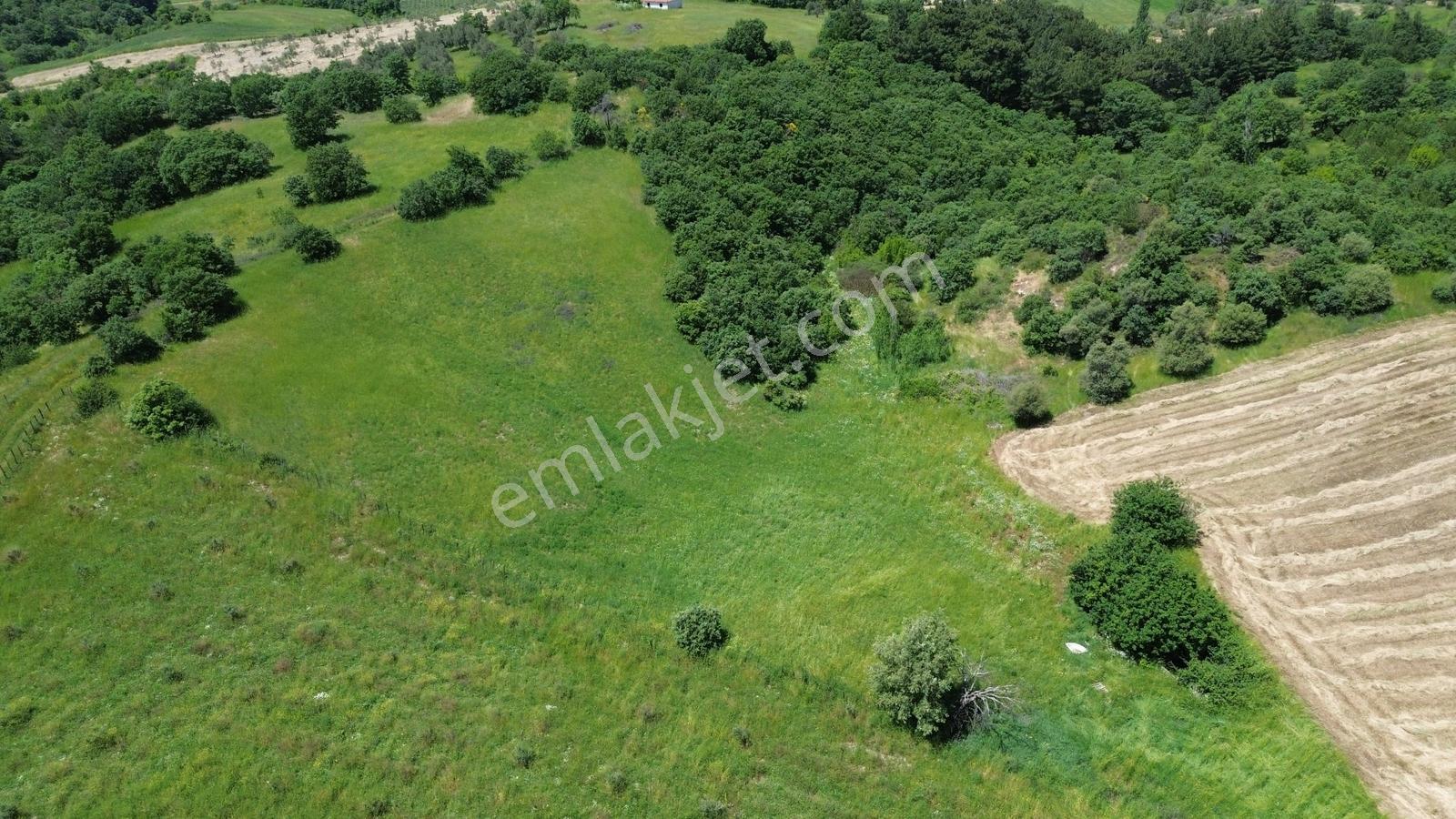 Bergama Dereköyde Uygun Fiyatlı Tarla !!! - Görsel 2