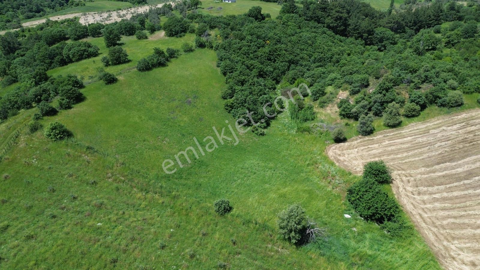 Bergama Dereköyde Uygun Fiyatlı Tarla !!! - Görsel 12