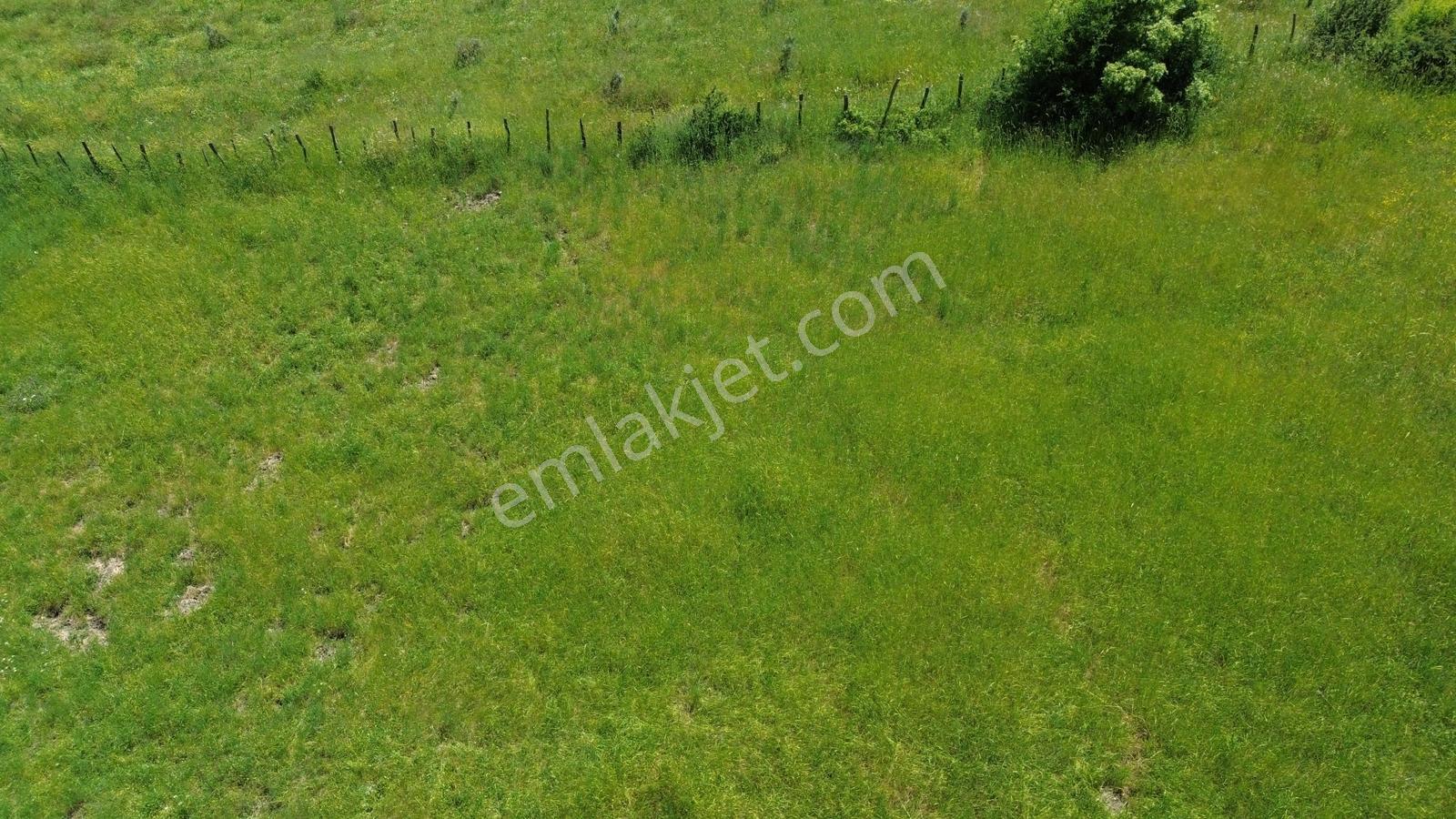 Bergama Dereköyde Uygun Fiyatlı Tarla !!! - Görsel 9