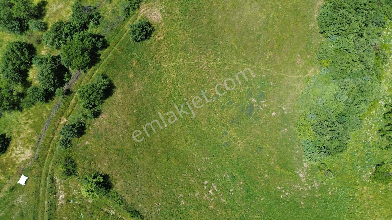 Bergama Dereköyde Uygun Fiyatlı Tarla !!! - Görsel 26