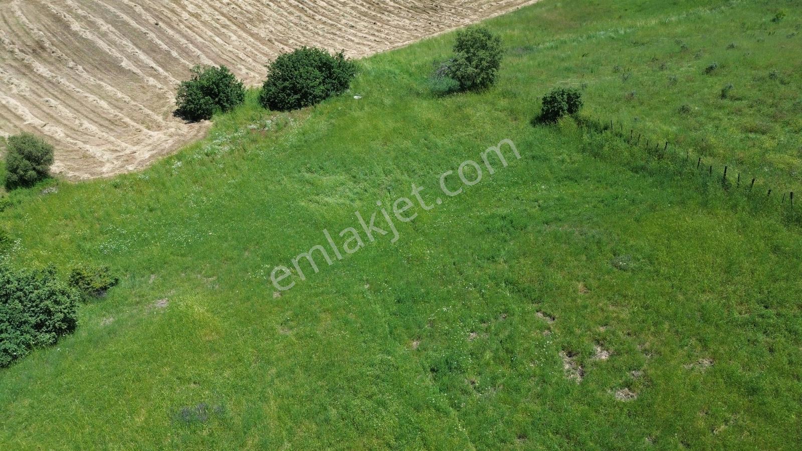 Bergama Dereköyde Uygun Fiyatlı Tarla !!! - Görsel 8