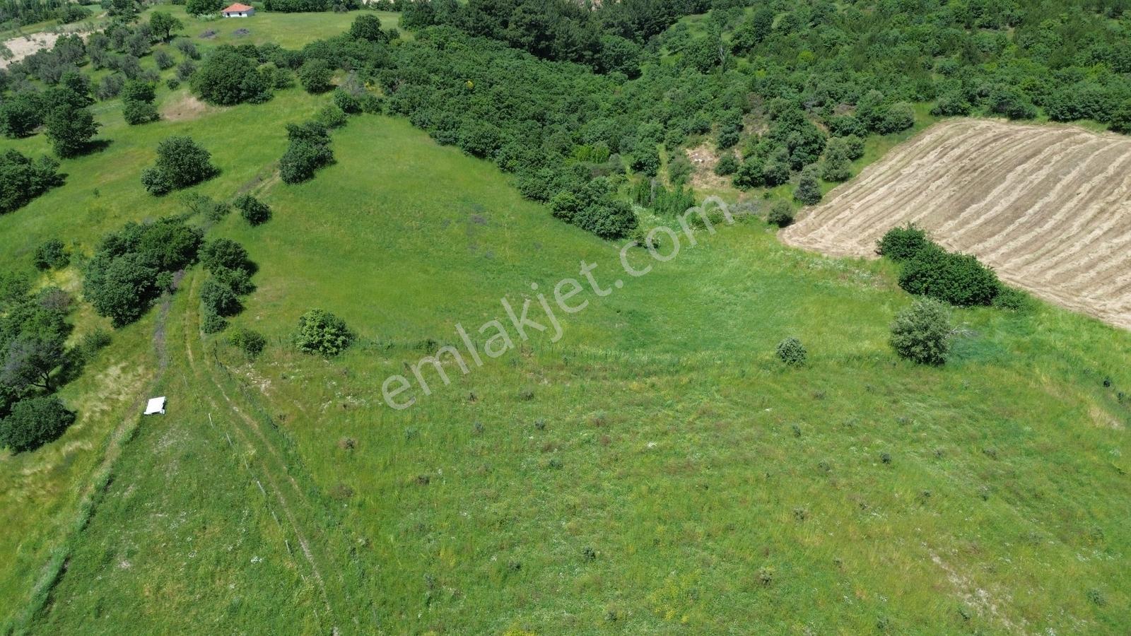 Bergama Dereköyde Uygun Fiyatlı Tarla !!! - Görsel 25