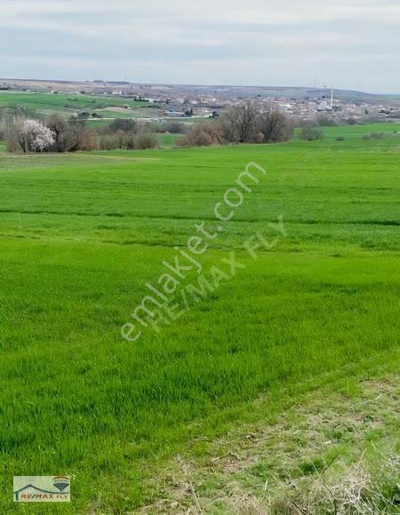 Kırklareli Babaeski Müsellim Köyünde Yatırımlık Tarla - Görsel 4