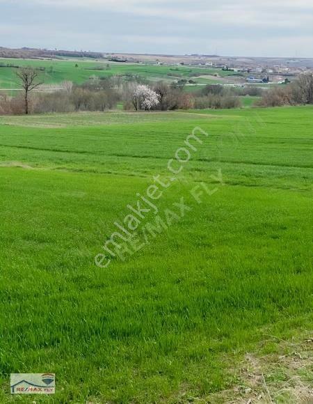Kırklareli Babaeski Müsellim Köyünde Yatırımlık Tarla - Görsel 6