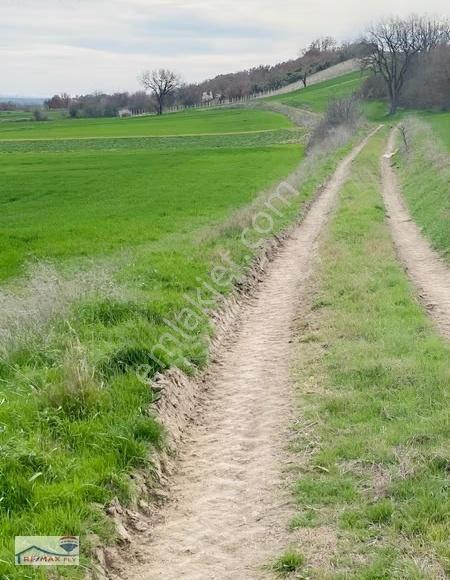 Kırklareli Babaeski Müsellim Köyünde Yatırımlık Tarla - Görsel 3