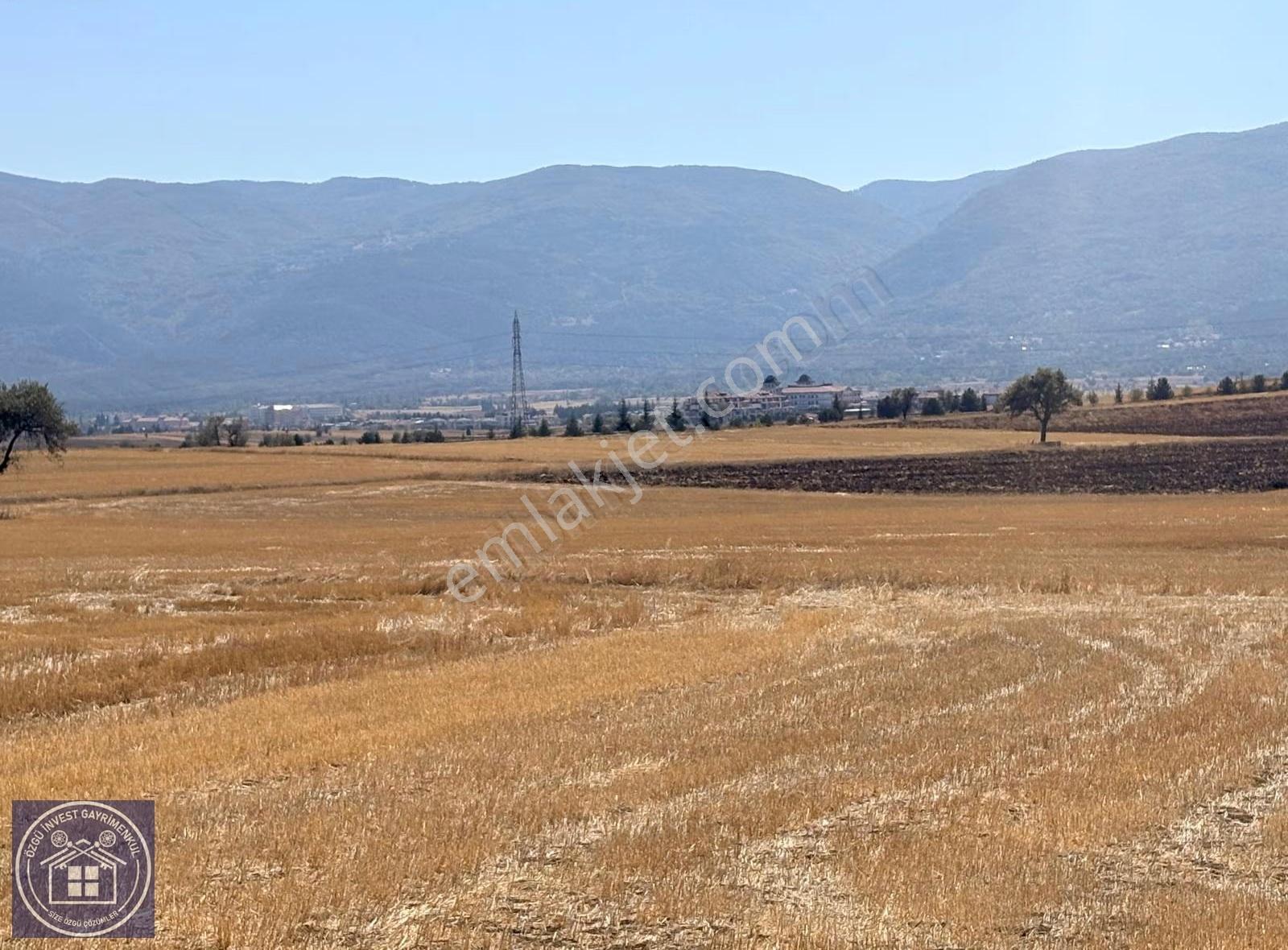 Özgü'den Termal Turizm Bölge Yakını Resmi Yolu Olan Tarla - Görsel 9