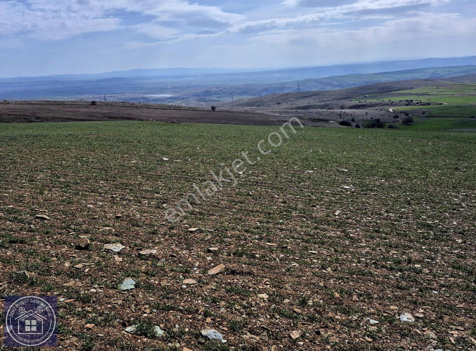 Özgü'den Eskişehir'de Güneş Enerji Santrali Yapımına Uygun Tarla