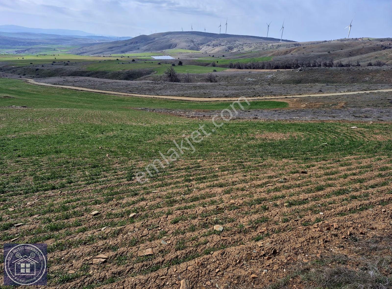 Özgü'den Eskişehir'de Güneş Enerji Santrali Yapımına Uygun Tarla - Görsel 10