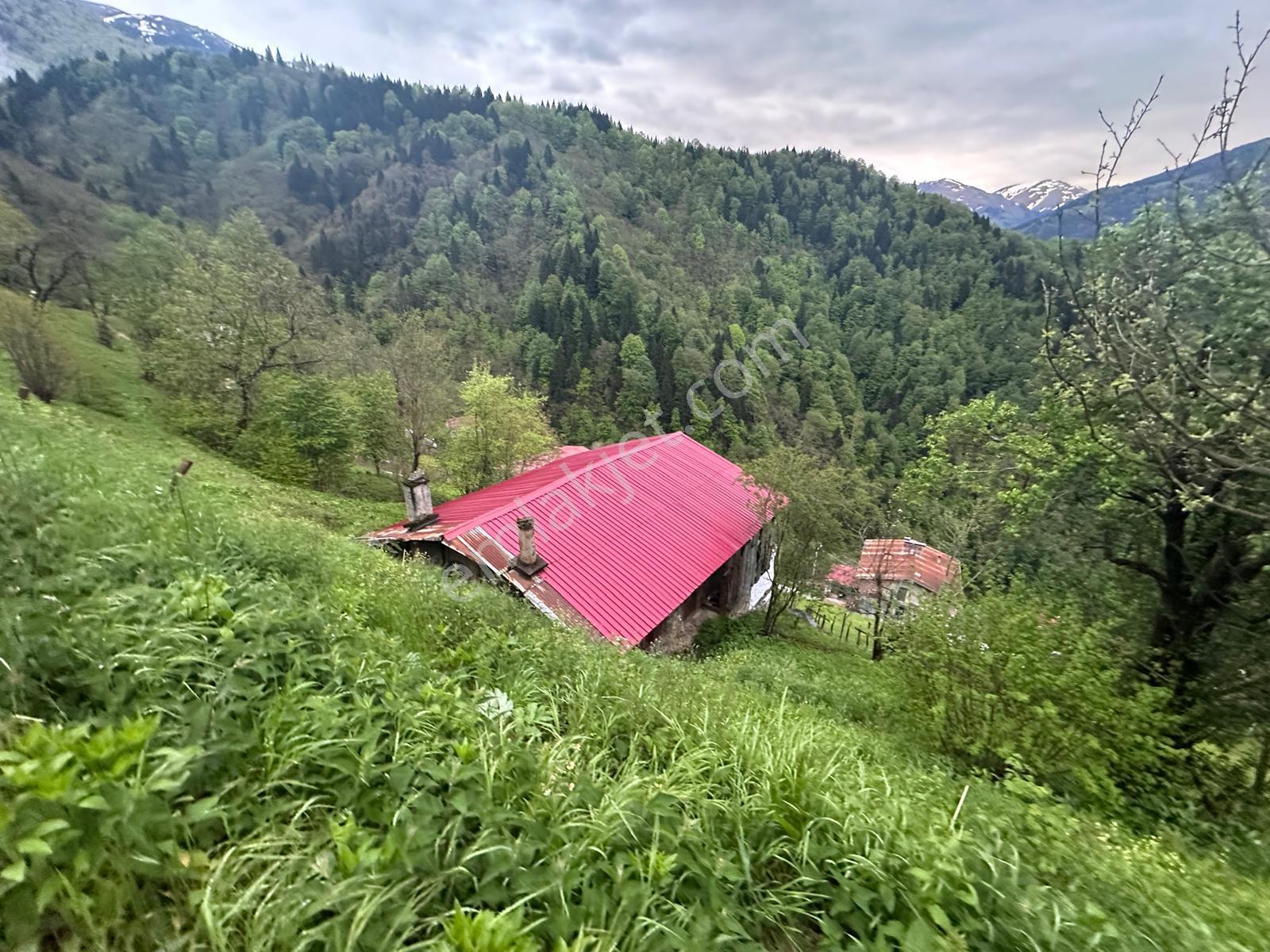 Trabzon Çaykara'da Satılık Müstakil Ev - Görsel 21
