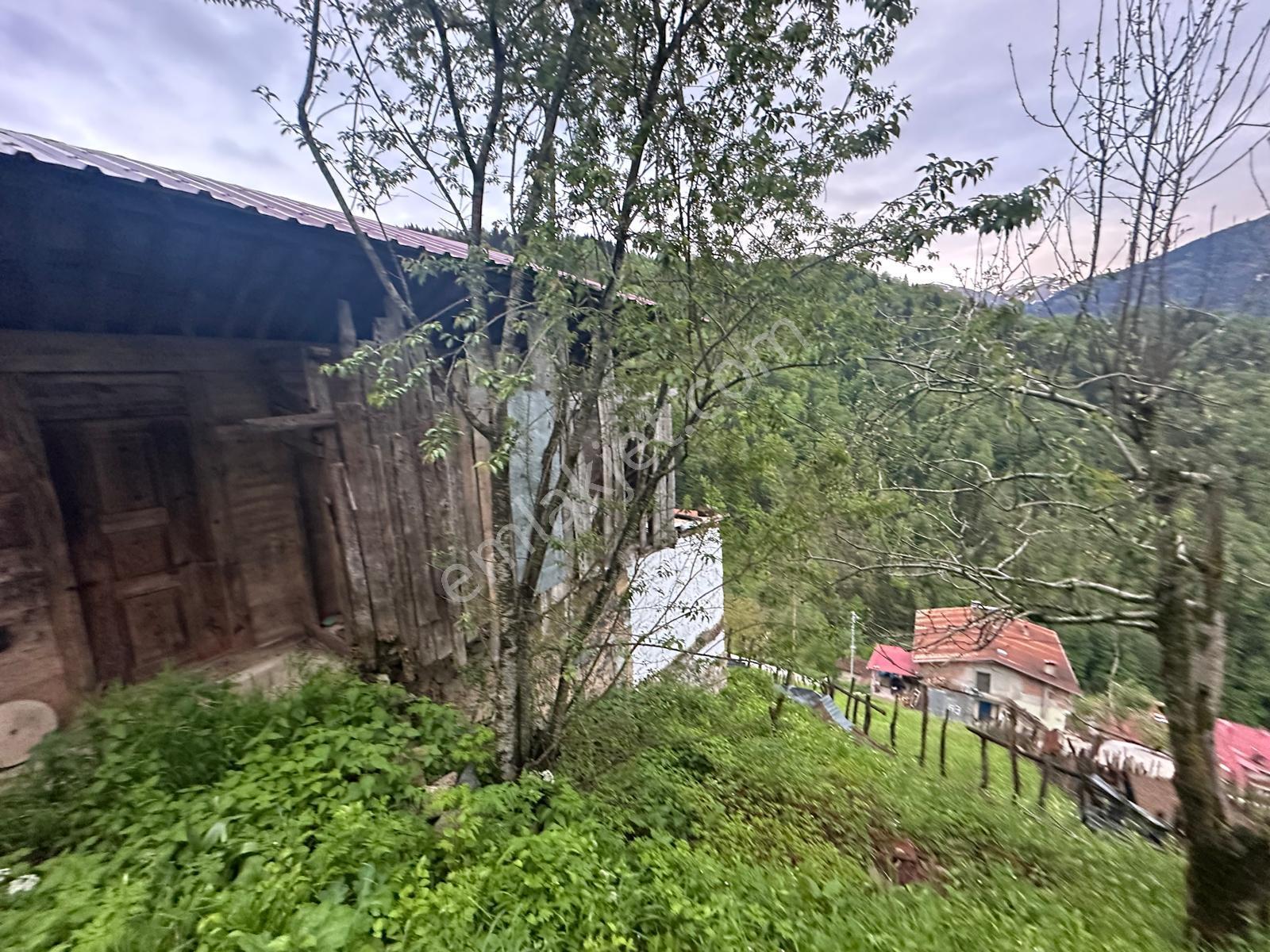 Trabzon Çaykara'da Satılık Müstakil Ev - Görsel 20