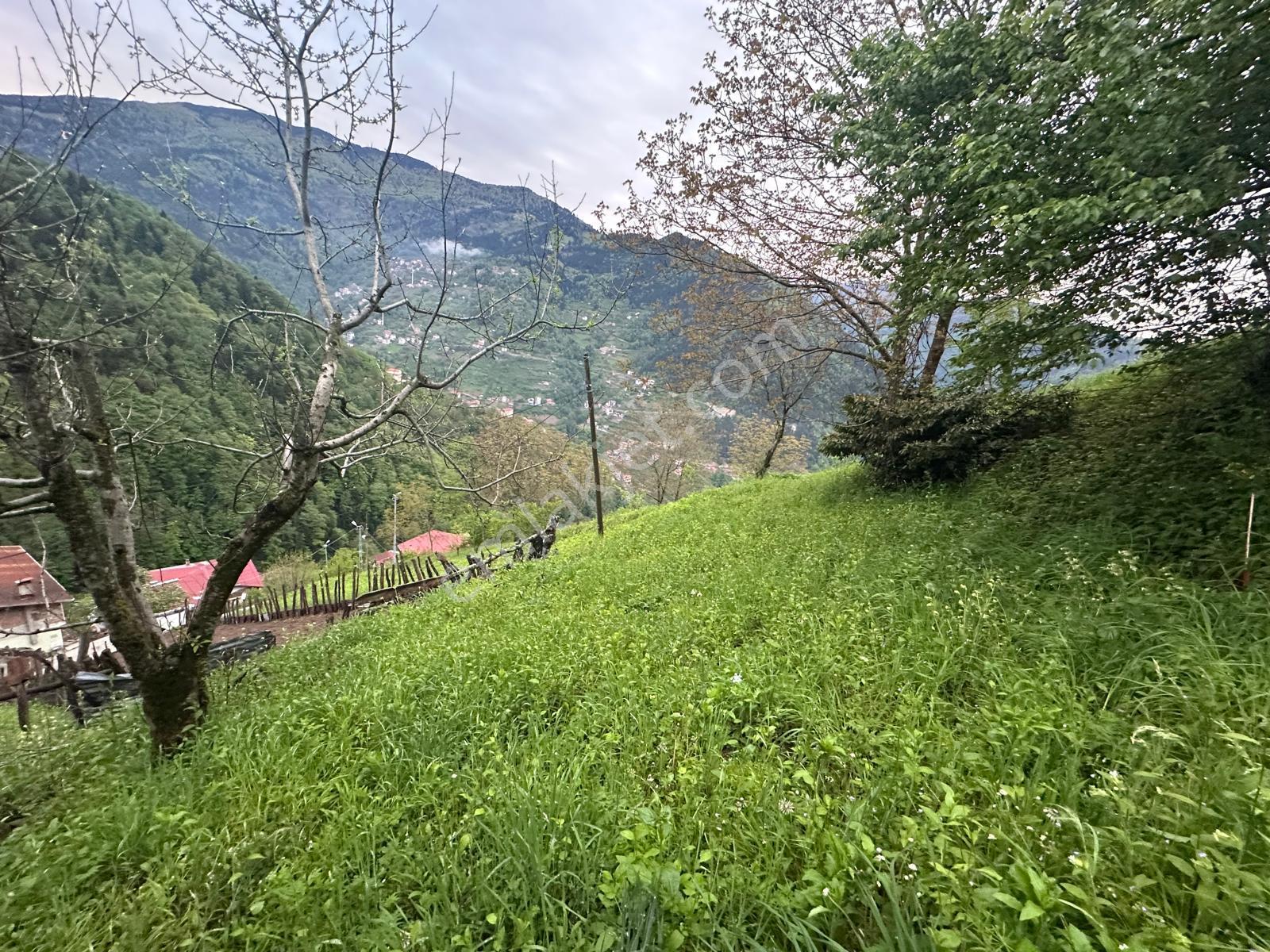 Trabzon Çaykara'da Satılık Müstakil Ev - Görsel 19