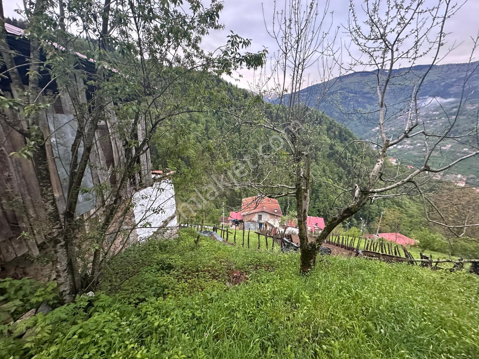 Trabzon Çaykara'da Satılık Müstakil Ev - Görsel 17