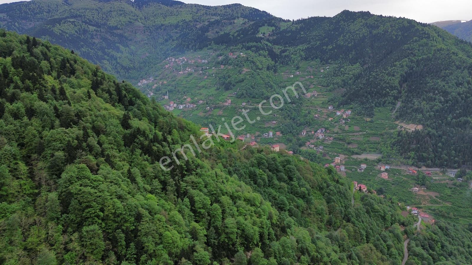 Trabzon Çaykara'da Satılık Müstakil Ev - Görsel 35