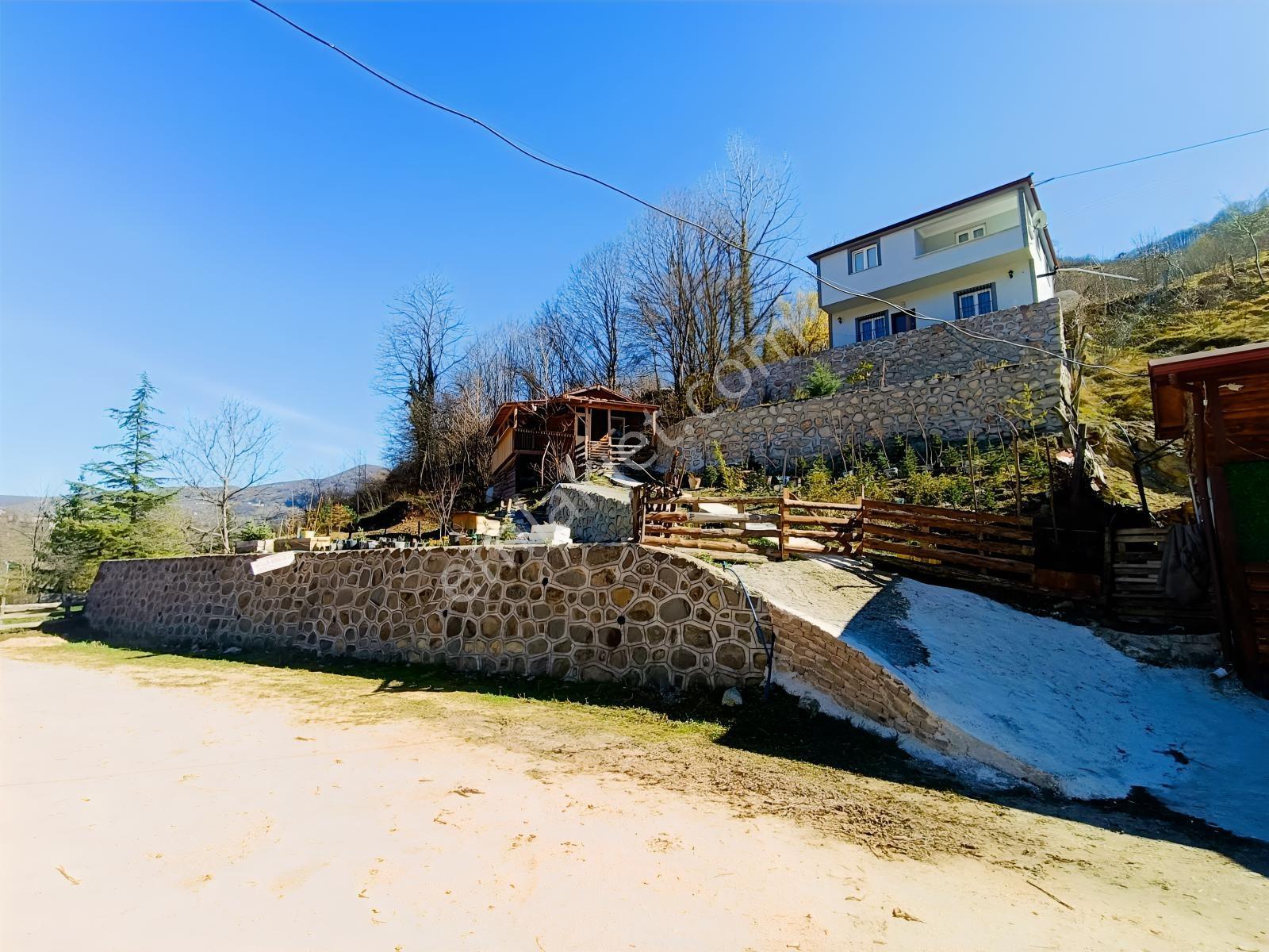 Ordu Aybastıda Dereye Sıfır, Ahşap Evli 500 M² Satılık Arsa - Görsel 21
