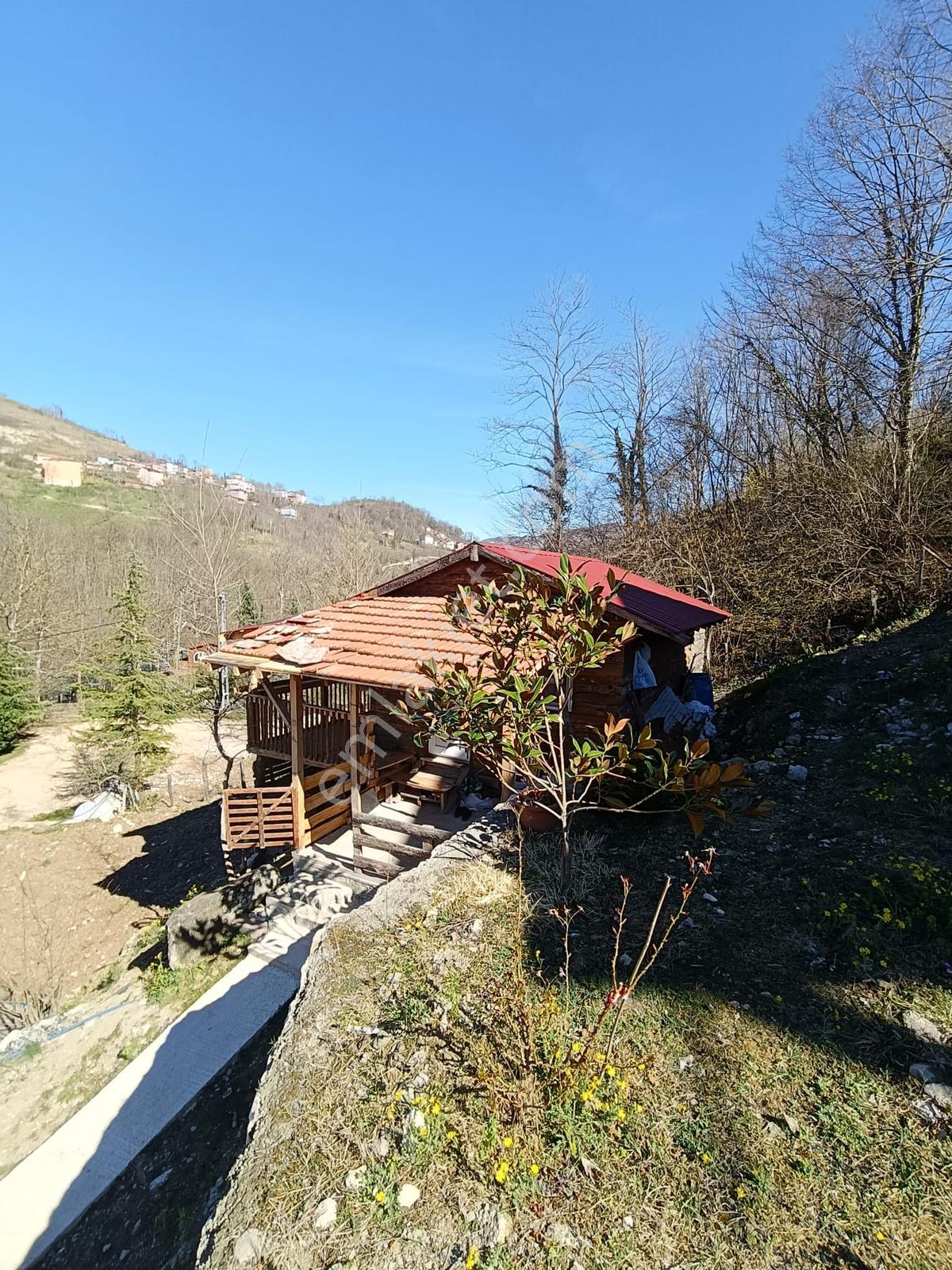 Ordu Aybastıda Dereye Sıfır, Ahşap Evli 500 M² Satılık Arsa - Görsel 15