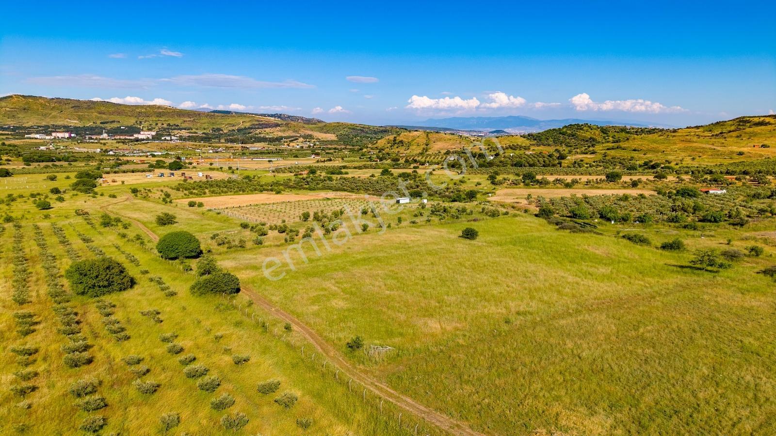 Foça Fevzi Çakmak Mah. Müstakil 1460 M2 Satılık Tarla - Görsel 9
