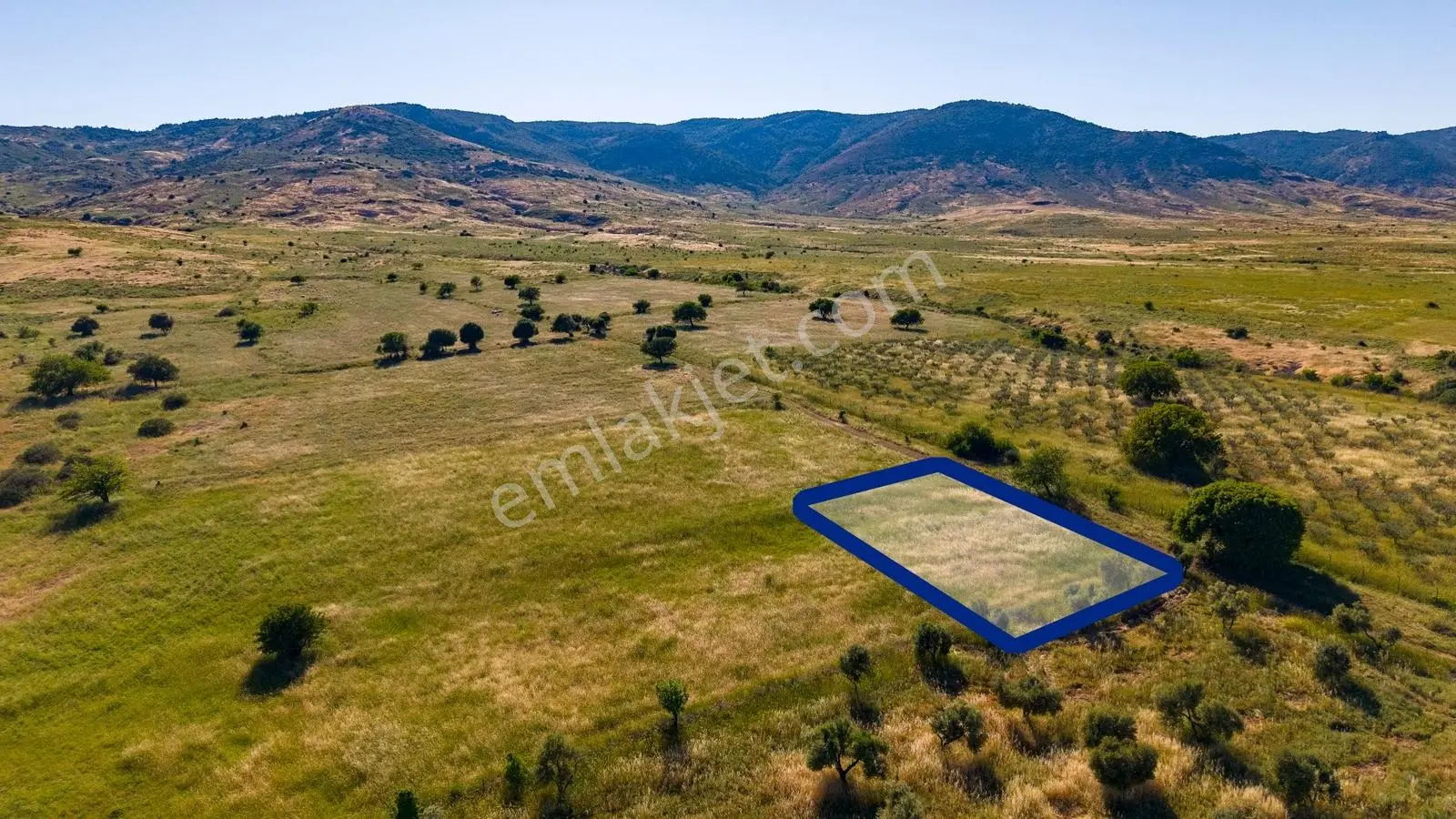 Foça Fevzi Çakmak Mah. Müstakil 1460 M2 Satılık Tarla - Görsel 2